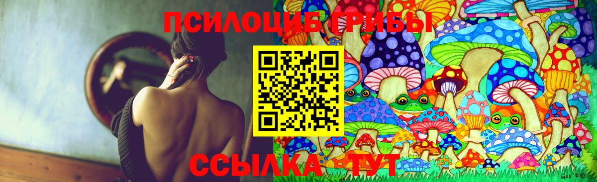 Галлюциногенные грибы Psilocybe Ноябрьск