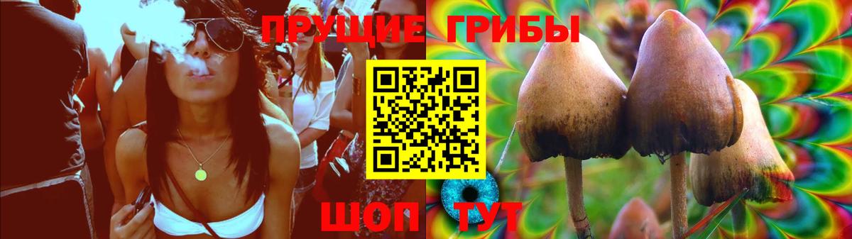 Галлюциногенные грибы мицелий  Вход с VPN  Ноябрьск 